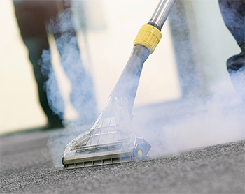 professional carpet cleaning company, carpet cleaning service, hybrid carpet cleaning